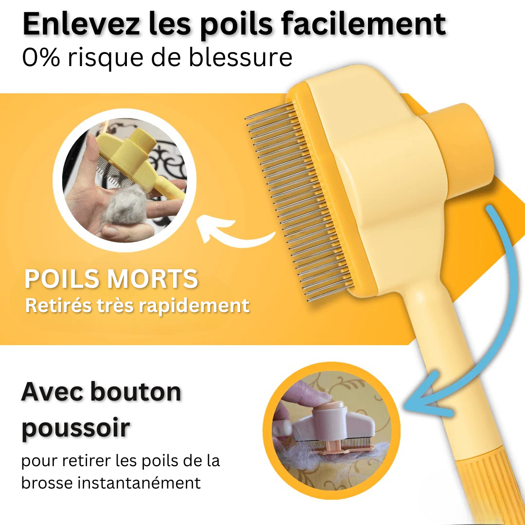 Brosse FurTastic