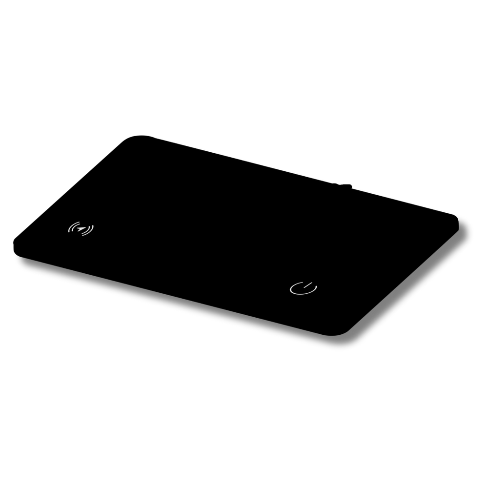<h2>RÉVOLUTIONNAIRE.</h2>